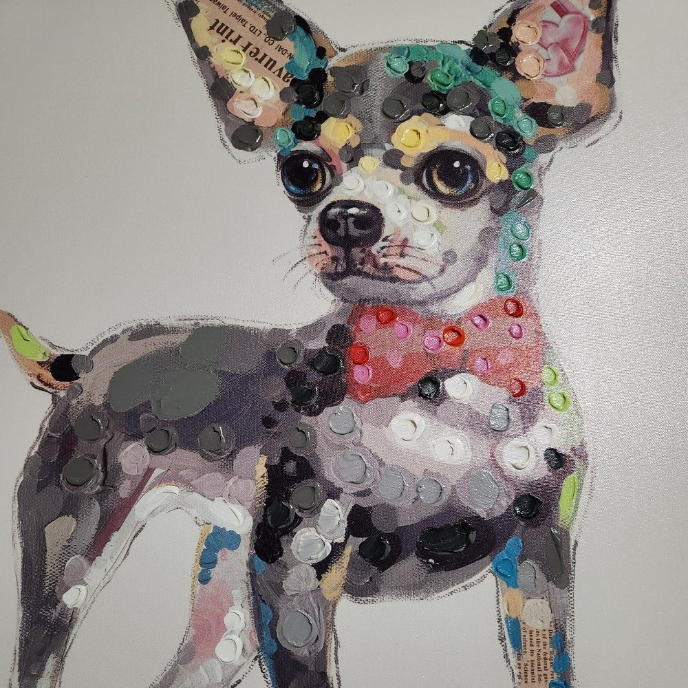 Meet your Posher, 3chihuahuadogs.